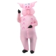 Фото: Надувной карнавальный костюм Свинья Надувной карнавальный костюм Свинья