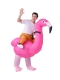 Фото: Надувной карнавальный костюм Всадник на фламинго FZ1666 Надувной карнавальный костюм Всадник на фламинго FZ1666